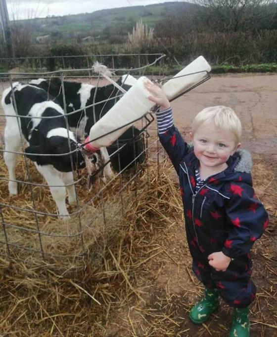 Park Gate, Colyton, Farm,Near Beaches-'Annie' Esterno foto